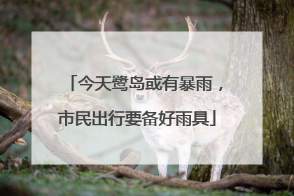 今天鹭岛或有暴雨，市民出行要备好雨具